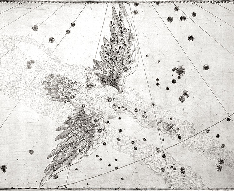 Portion of Bayer's Uranometria showing the region near Cygnus