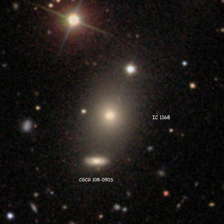 SDSS image of elliptical galaxy IC 1168 and its probable companion lenticular galaxy CGCG 108-090S, also known as IC 1168B